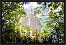 Load image into Gallery viewer, Salt Lake Glimpse of Eternity Gallery Wrap
