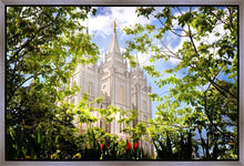 Load image into Gallery viewer, Salt Lake Glimpse of Eternity Gallery Wrap
