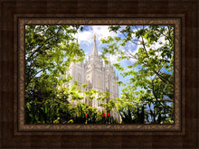 Load image into Gallery viewer, Salt Lake Glimpse of Eternity
