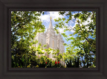 Load image into Gallery viewer, Salt Lake Glimpse of Eternity
