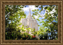 Load image into Gallery viewer, Salt Lake Glimpse of Eternity
