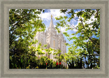 Load image into Gallery viewer, Salt Lake Glimpse of Eternity
