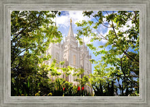 Load image into Gallery viewer, Salt Lake Glimpse of Eternity

