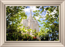 Load image into Gallery viewer, Salt Lake Glimpse of Eternity
