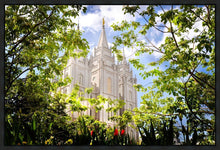 Load image into Gallery viewer, Salt Lake Glimpse of Eternity Gallery Wrap
