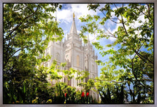 Load image into Gallery viewer, Salt Lake Glimpse of Eternity Gallery Wrap
