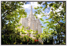 Load image into Gallery viewer, Salt Lake Glimpse of Eternity Gallery Wrap
