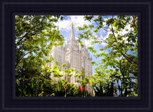 Load image into Gallery viewer, Salt Lake Glimpse of Eternity
