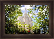 Load image into Gallery viewer, Salt Lake Glimpse of Eternity

