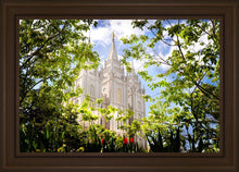 Load image into Gallery viewer, Salt Lake Glimpse of Eternity
