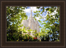 Load image into Gallery viewer, Salt Lake Glimpse of Eternity
