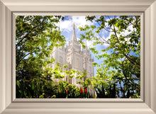 Load image into Gallery viewer, Salt Lake Glimpse of Eternity
