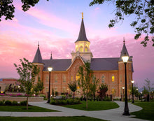 Load image into Gallery viewer, Provo City Center Temple Pioneer Pathways
