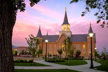 Load image into Gallery viewer, Provo City Center Temple Pioneer Pathways

