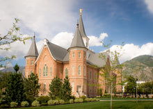 Load image into Gallery viewer, Provo City Center Temple Restored Walls
