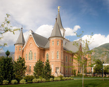 Load image into Gallery viewer, Provo City Center Temple Restored Walls Gallery Wrap
