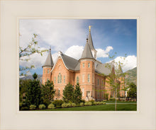 Load image into Gallery viewer, Provo City Center Temple Restored Walls

