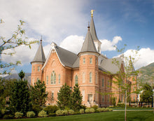 Load image into Gallery viewer, Provo City Center Temple Restored Walls
