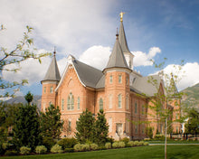 Load image into Gallery viewer, Provo City Center Temple Restored Walls Gallery Wrap
