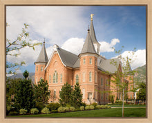 Load image into Gallery viewer, Provo City Center Temple Restored Walls Gallery Wrap
