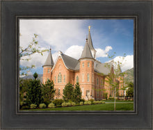 Load image into Gallery viewer, Provo City Center Temple Restored Walls
