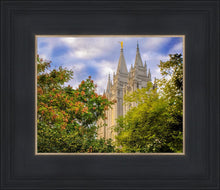 Load image into Gallery viewer, Salt Lake City Temple Autumn Leaves
