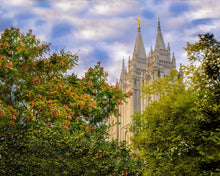 Load image into Gallery viewer, Salt Lake City Temple Autumn Leaves

