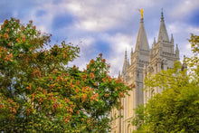 Load image into Gallery viewer, Salt Lake City Temple Autumn Leaves
