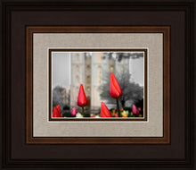 Load image into Gallery viewer, Salt Lake City Temple Beginning Transformation
