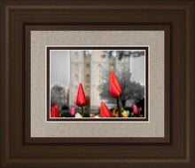 Load image into Gallery viewer, Salt Lake City Temple Beginning Transformation
