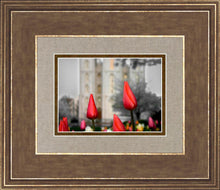 Load image into Gallery viewer, Salt Lake City Temple Beginning Transformation
