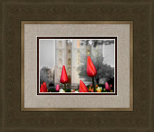 Load image into Gallery viewer, Salt Lake City Temple Beginning Transformation
