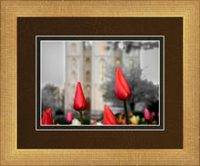 Load image into Gallery viewer, Salt Lake City Temple Beginning Transformation
