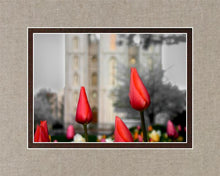 Load image into Gallery viewer, Salt Lake City Temple Beginning Transformation
