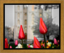 Load image into Gallery viewer, Salt Lake City Temple Beginning Transformation Gallery Wrap
