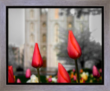 Load image into Gallery viewer, Salt Lake City Temple Beginning Transformation Gallery Wrap
