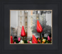 Load image into Gallery viewer, Salt Lake City Temple Beginning Transformation

