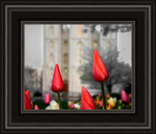 Load image into Gallery viewer, Salt Lake City Temple Beginning Transformation
