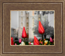 Load image into Gallery viewer, Salt Lake City Temple Beginning Transformation
