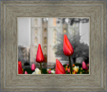 Load image into Gallery viewer, Salt Lake City Temple Beginning Transformation
