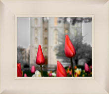 Load image into Gallery viewer, Salt Lake City Temple Beginning Transformation
