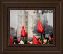 Load image into Gallery viewer, Salt Lake City Temple Beginning Transformation
