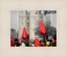 Load image into Gallery viewer, Salt Lake City Temple Beginning Transformation
