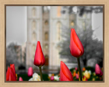 Load image into Gallery viewer, Salt Lake City Temple Beginning Transformation Gallery Wrap
