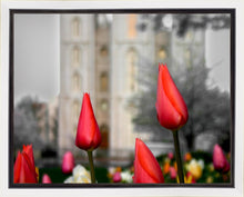 Load image into Gallery viewer, Salt Lake City Temple Beginning Transformation Gallery Wrap
