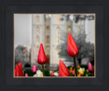 Load image into Gallery viewer, Salt Lake City Temple Beginning Transformation
