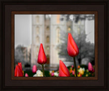 Load image into Gallery viewer, Salt Lake City Temple Beginning Transformation
