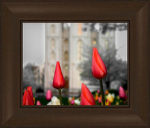 Load image into Gallery viewer, Salt Lake City Temple Beginning Transformation
