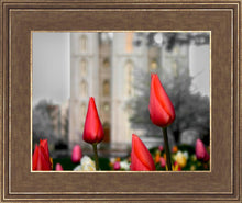 Load image into Gallery viewer, Salt Lake City Temple Beginning Transformation
