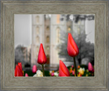 Load image into Gallery viewer, Salt Lake City Temple Beginning Transformation
